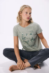 Springfield Playera gr&aacute;fica khaki