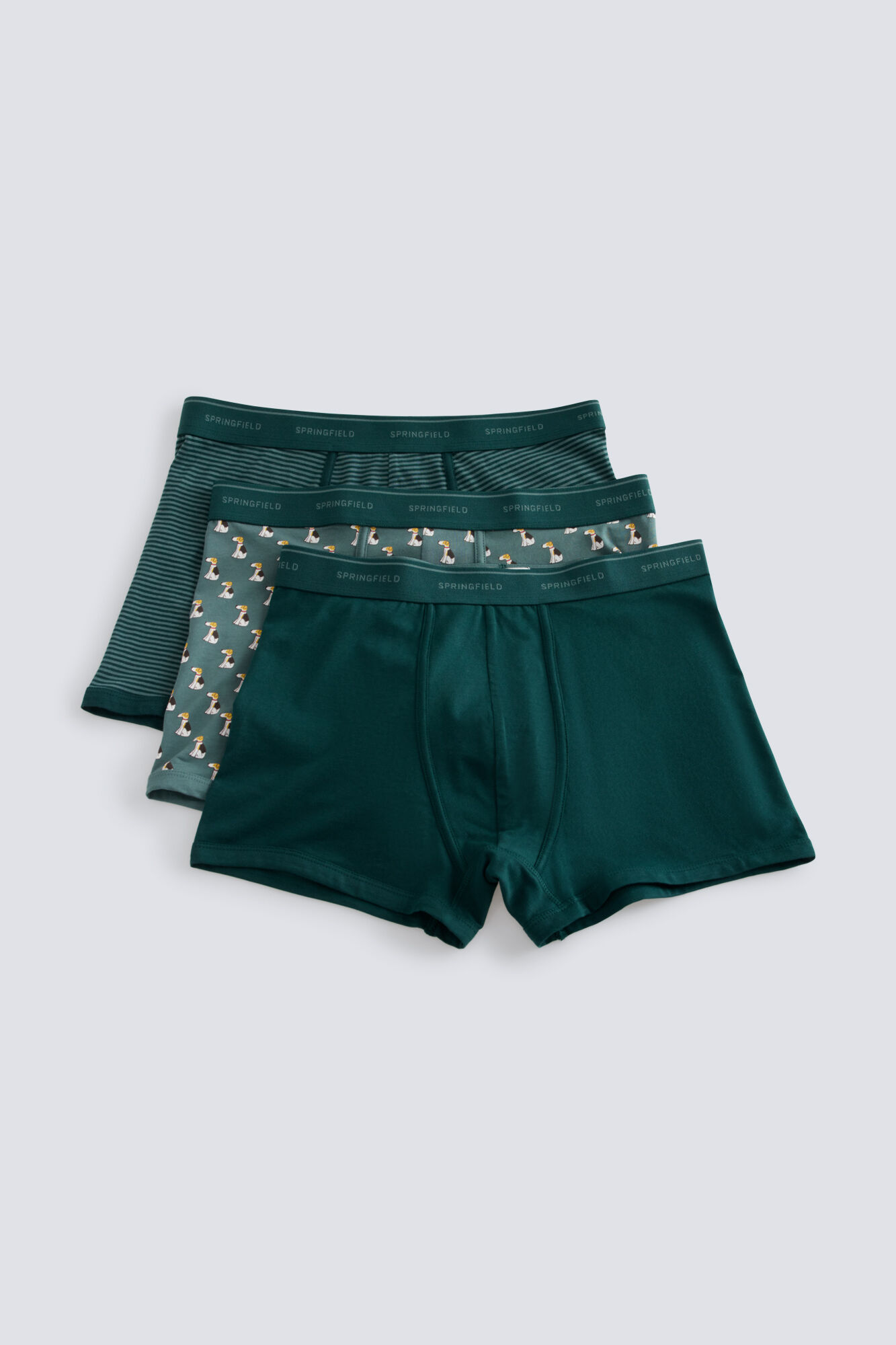 Springfield Pack 3 boxers perro