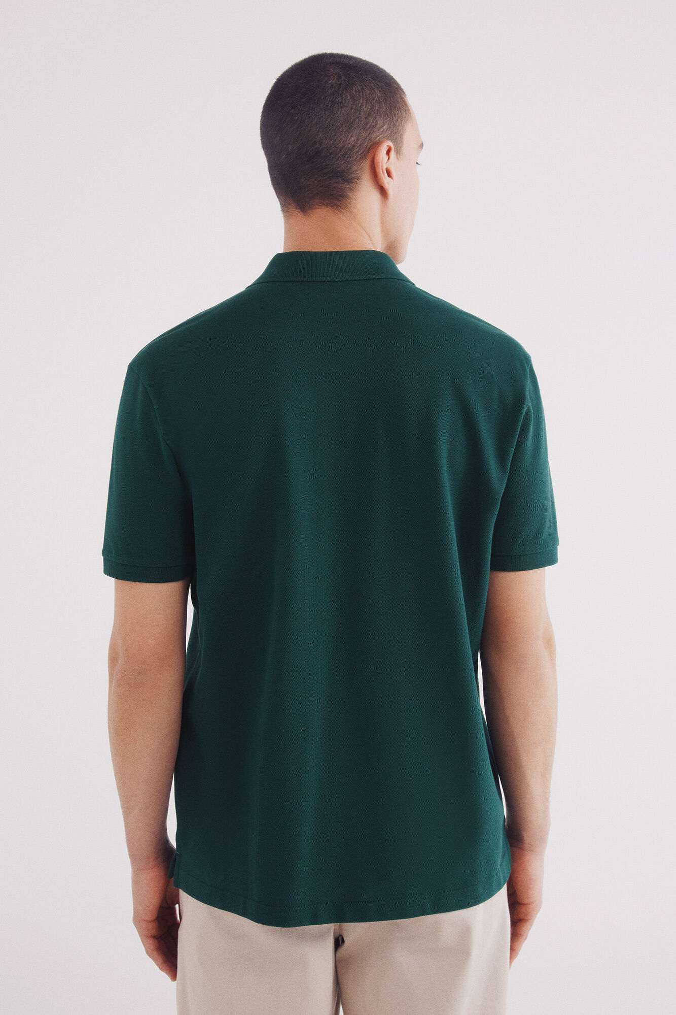 Springfield Polo piqu&eacute; b&aacute;sico regular fit verde
