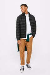 Springfield Chamarra acolchada negro