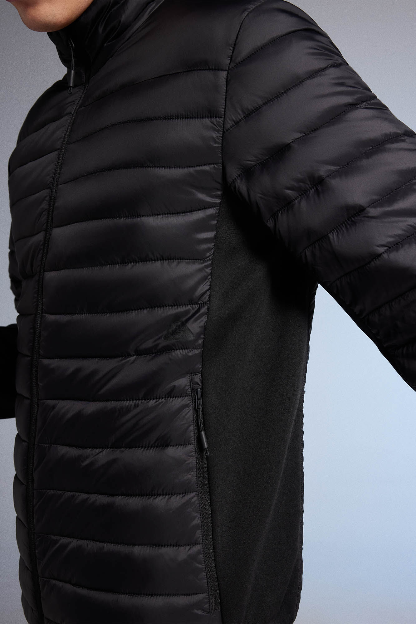 Springfield Chamarra acolchada combinada negro