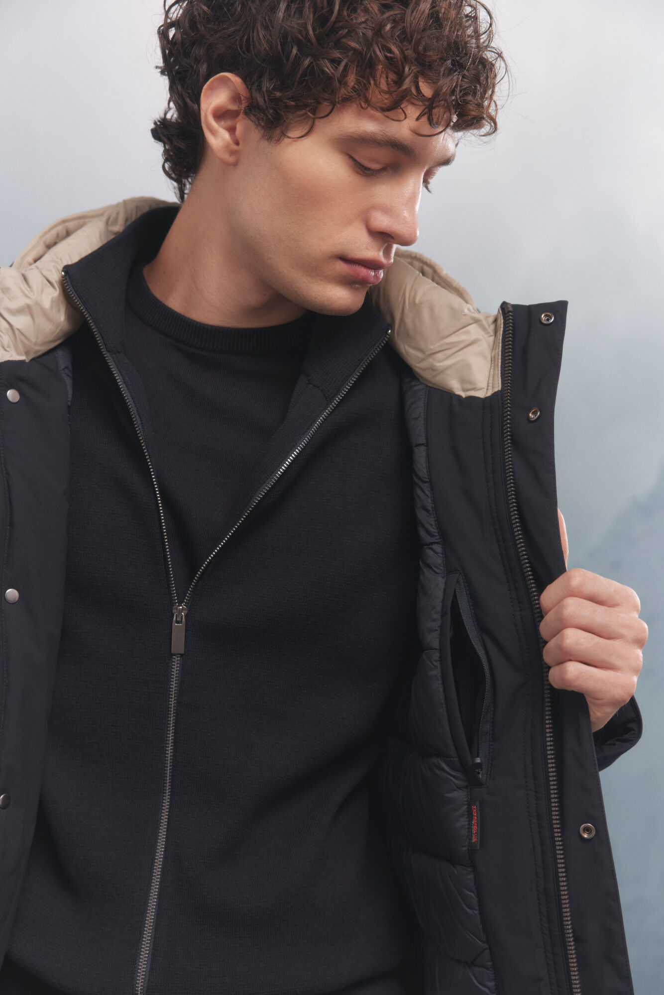 Springfield Plum&iacute;fero marino