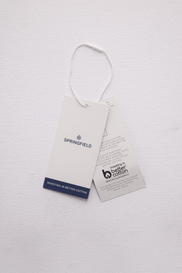 Springfield Playera gráfica  gris