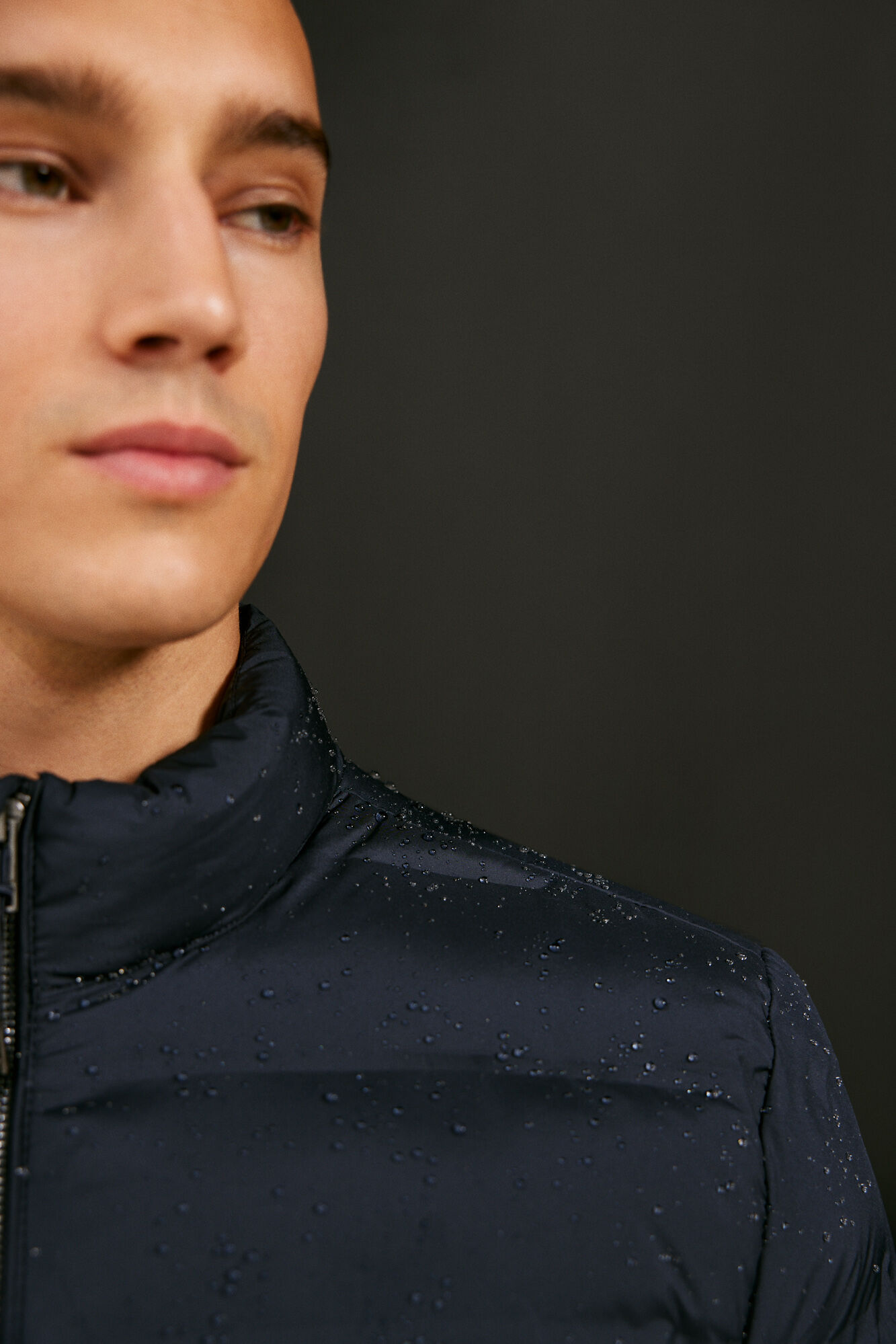 Springfield Chamarra acolchada termosellada azul