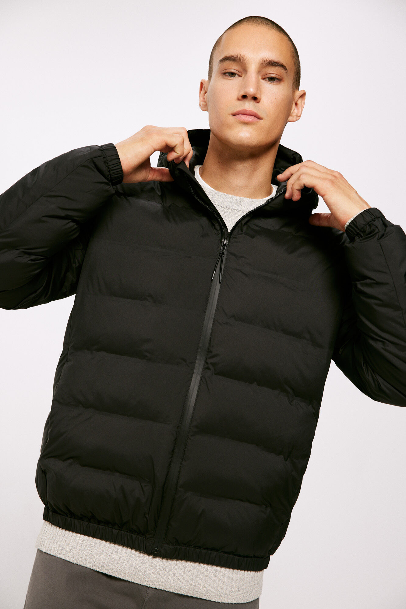 Chamarras para hombre Nueva Colecci n Springfield M xico