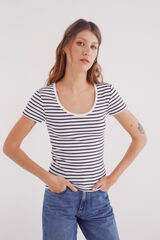 Springfield Playera escote redondo canalé marino