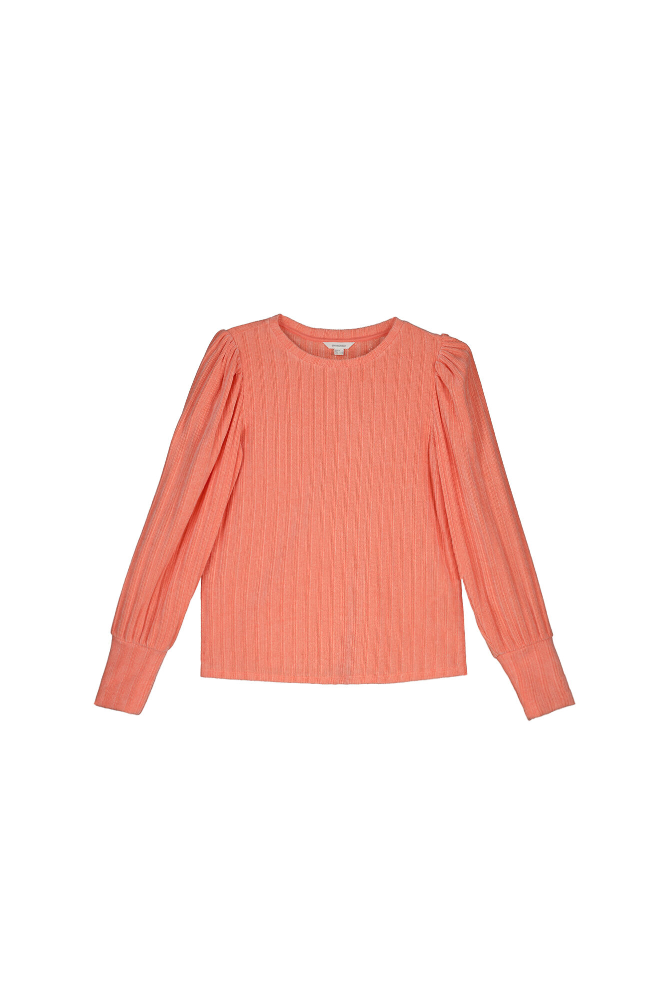 Springfield Playera Chenilla estampado