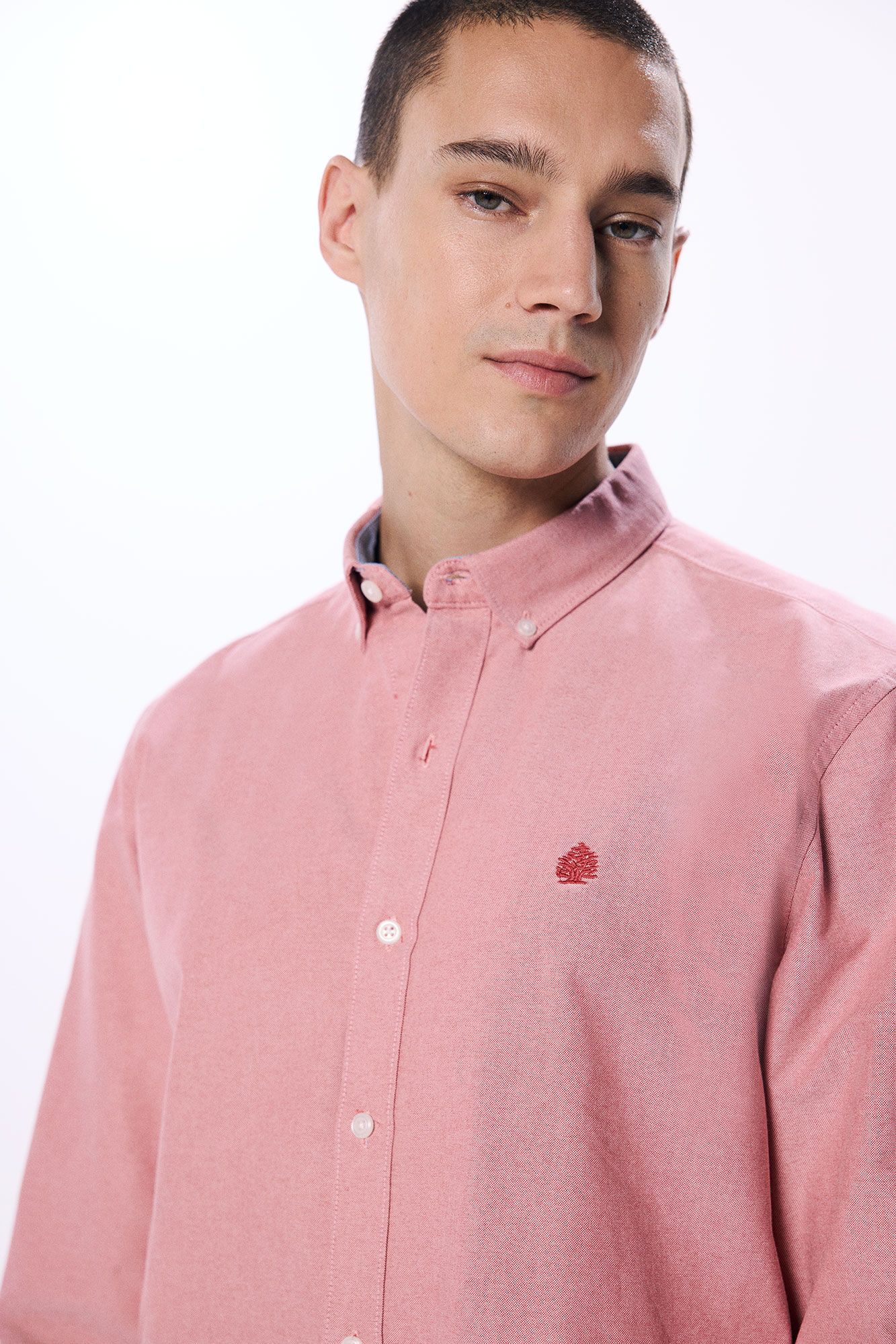 Camisas hombre springfield discount