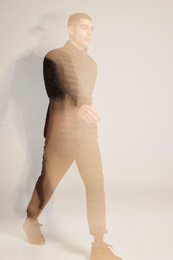 Springfield Chamarra acolchada combinada negro