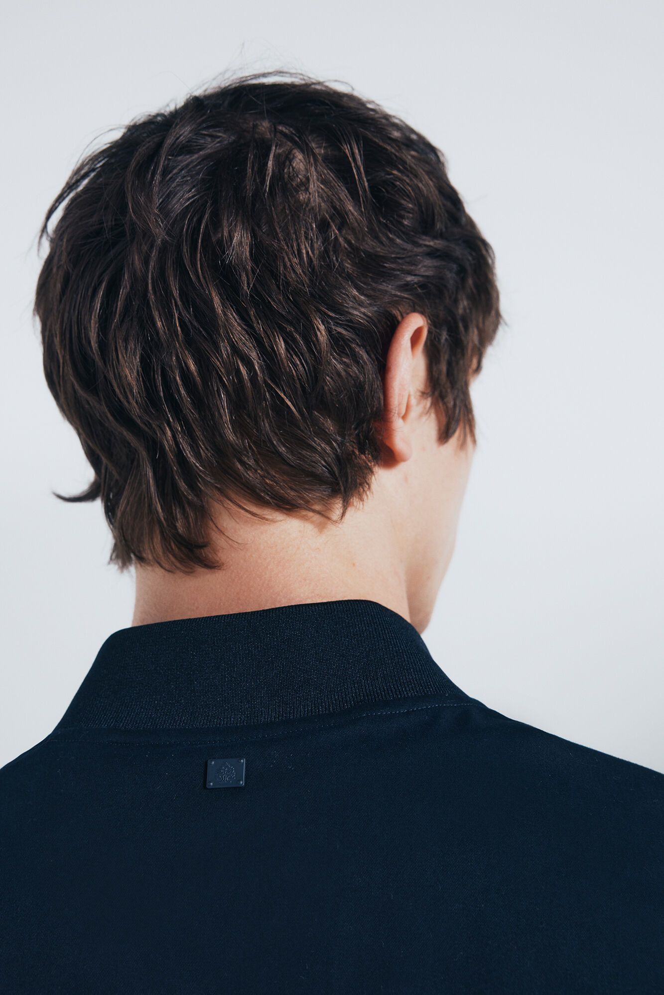 Springfield Bomber ligera marino