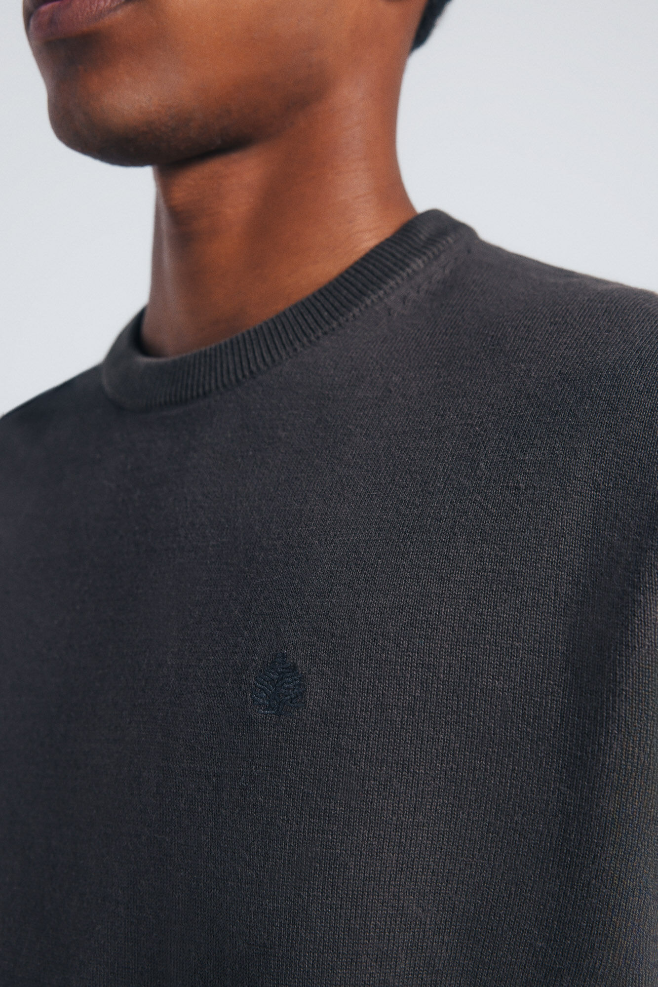 Springfield Jersey b&aacute;sico estampado