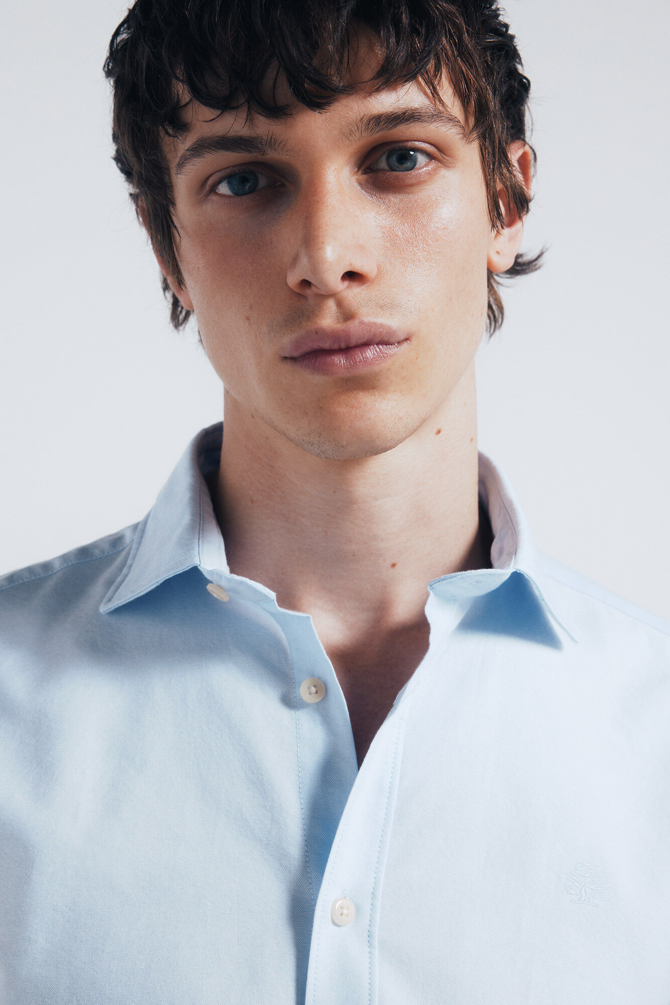 Springfield Camisa Oxford ligera