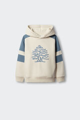 Springfield Kids Sudadera de &aacute;rbol con franjas para ni&ntilde;o marfil