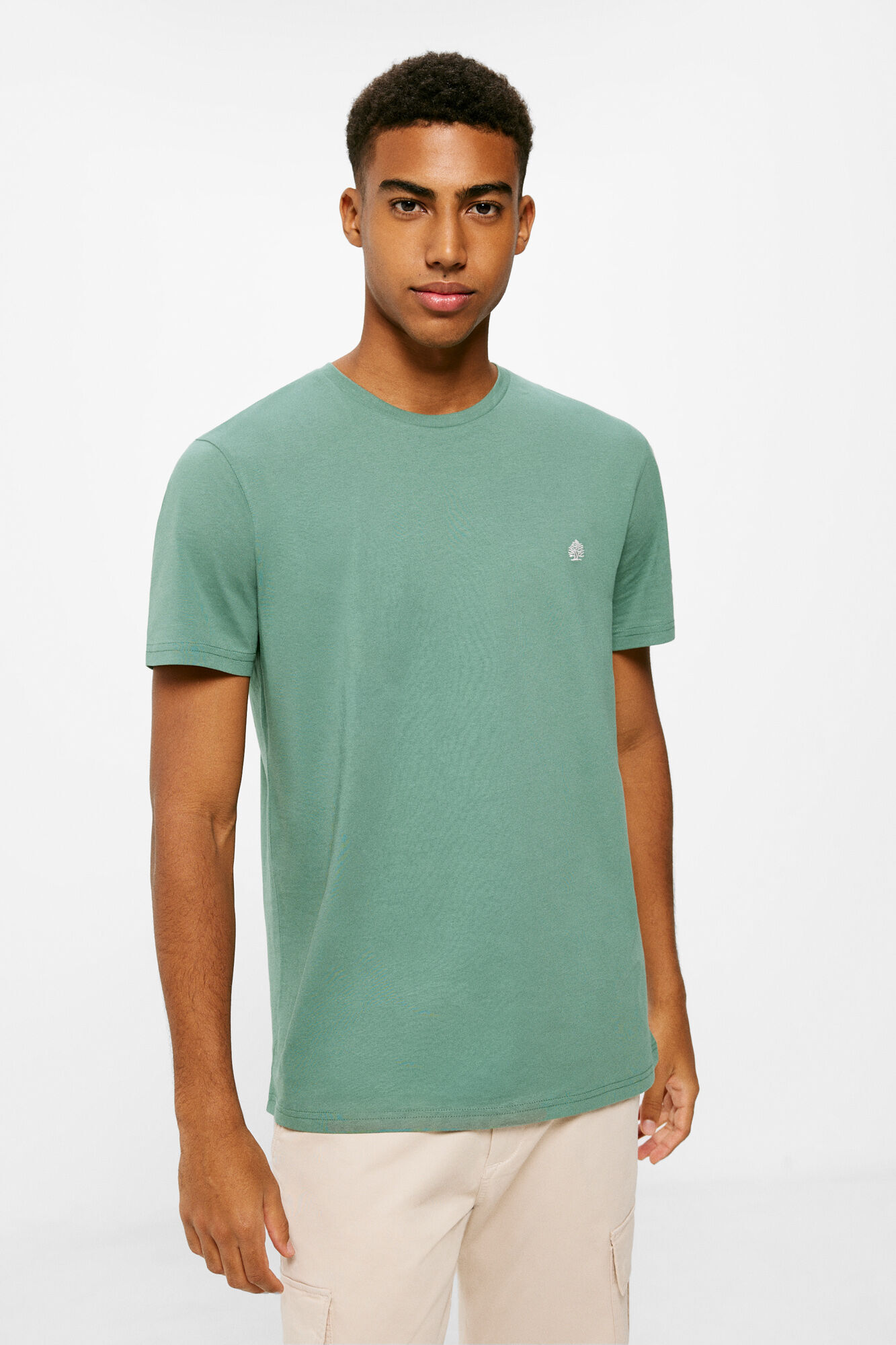 Playeras de hombre Nueva Colecci n Springfield M xico