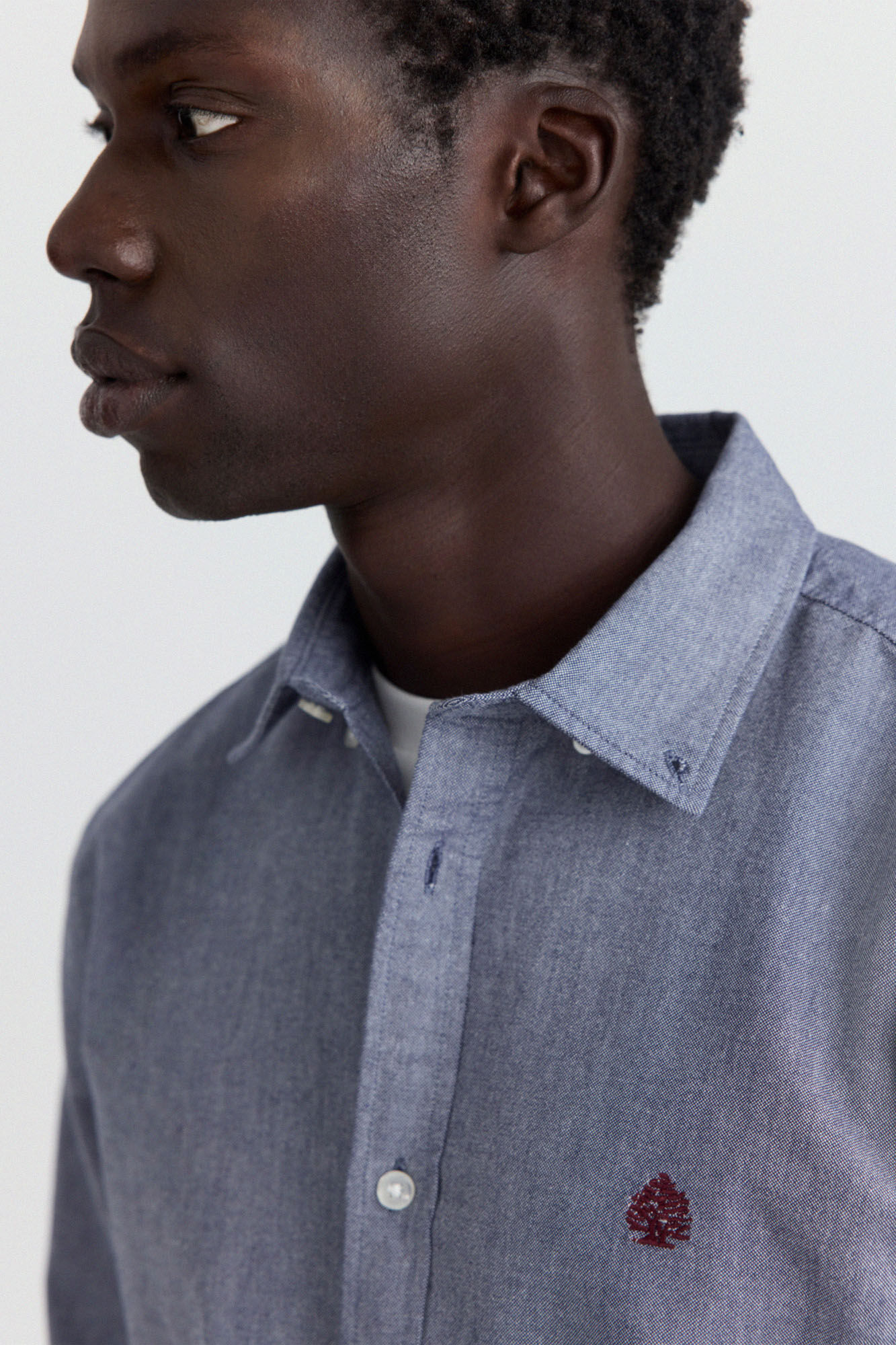Springfield Camisa oxford azul tinta