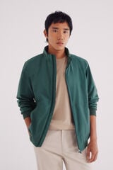 Springfield Chamarra deportiva verde