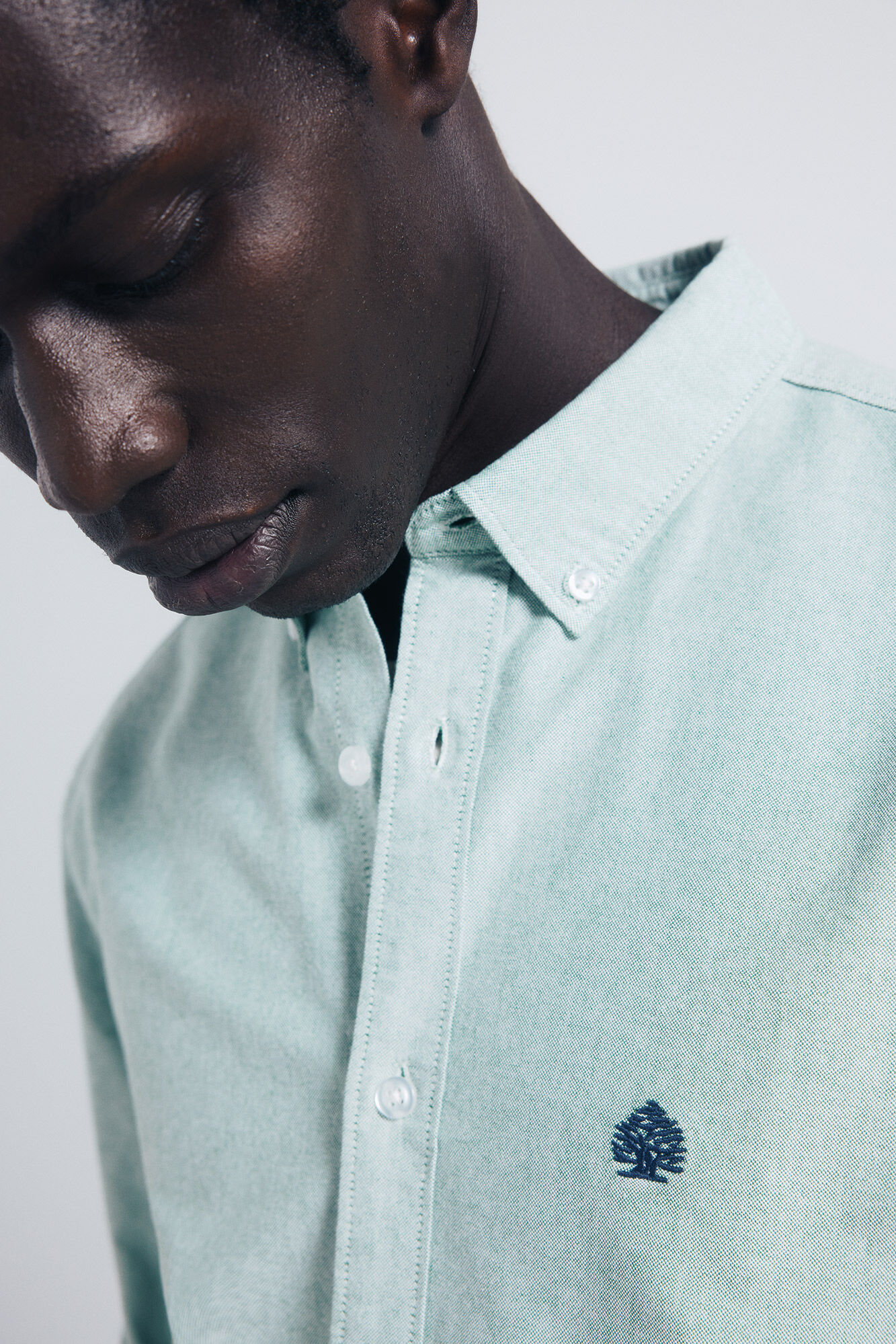 Springfield Camisa Oxford verde
