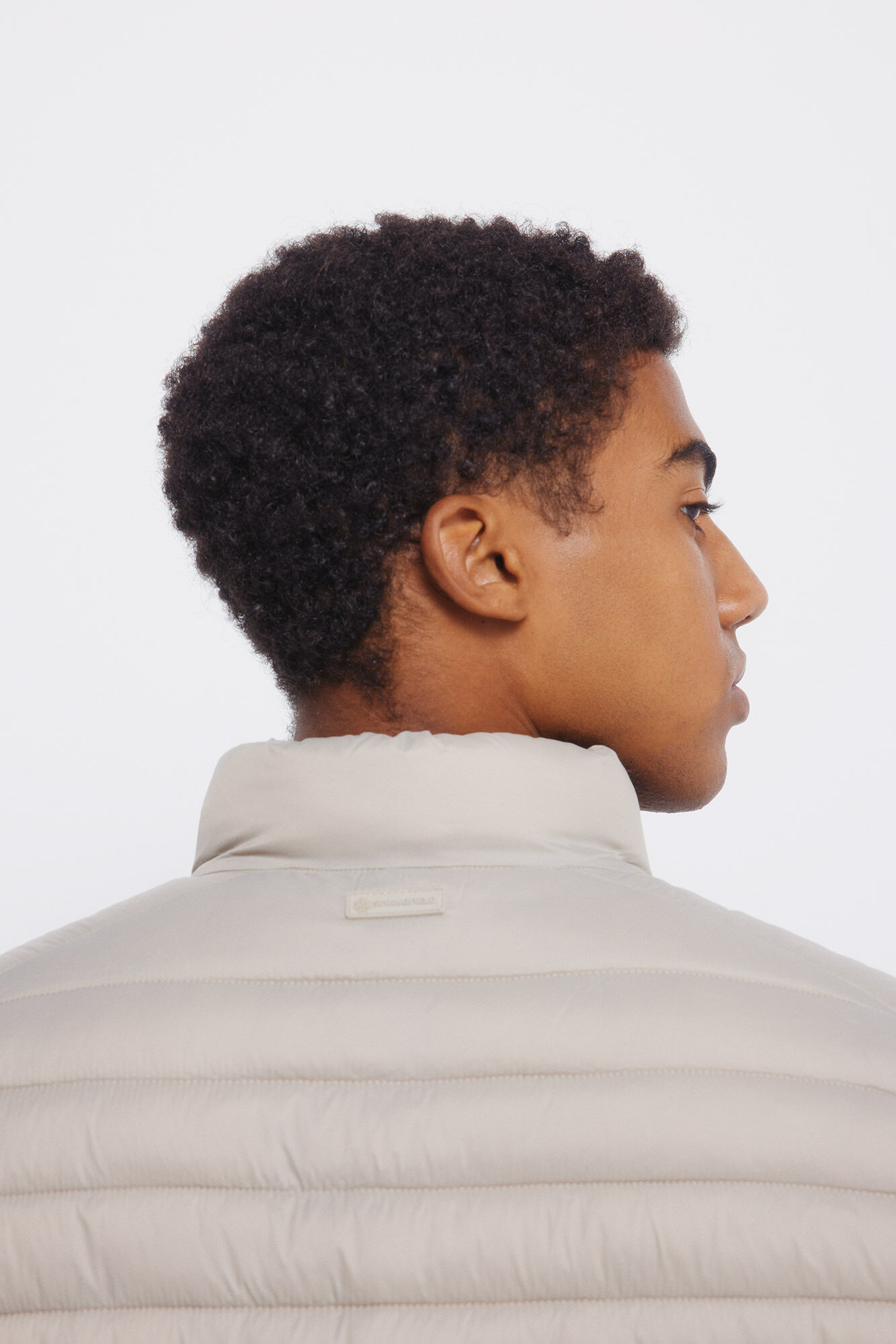 Springfield Plum&iacute;fero caf&eacute;