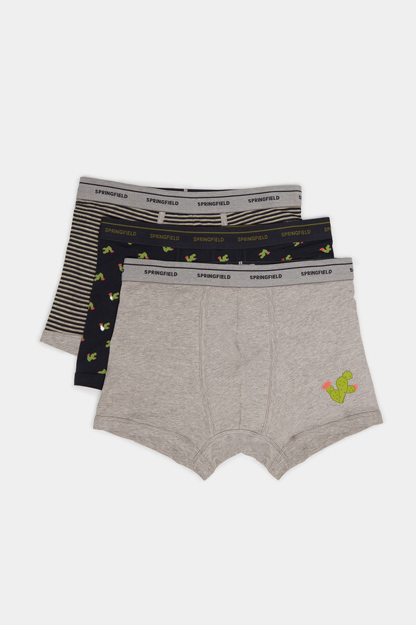 Springfield Pack 3 boxers cactus marino
