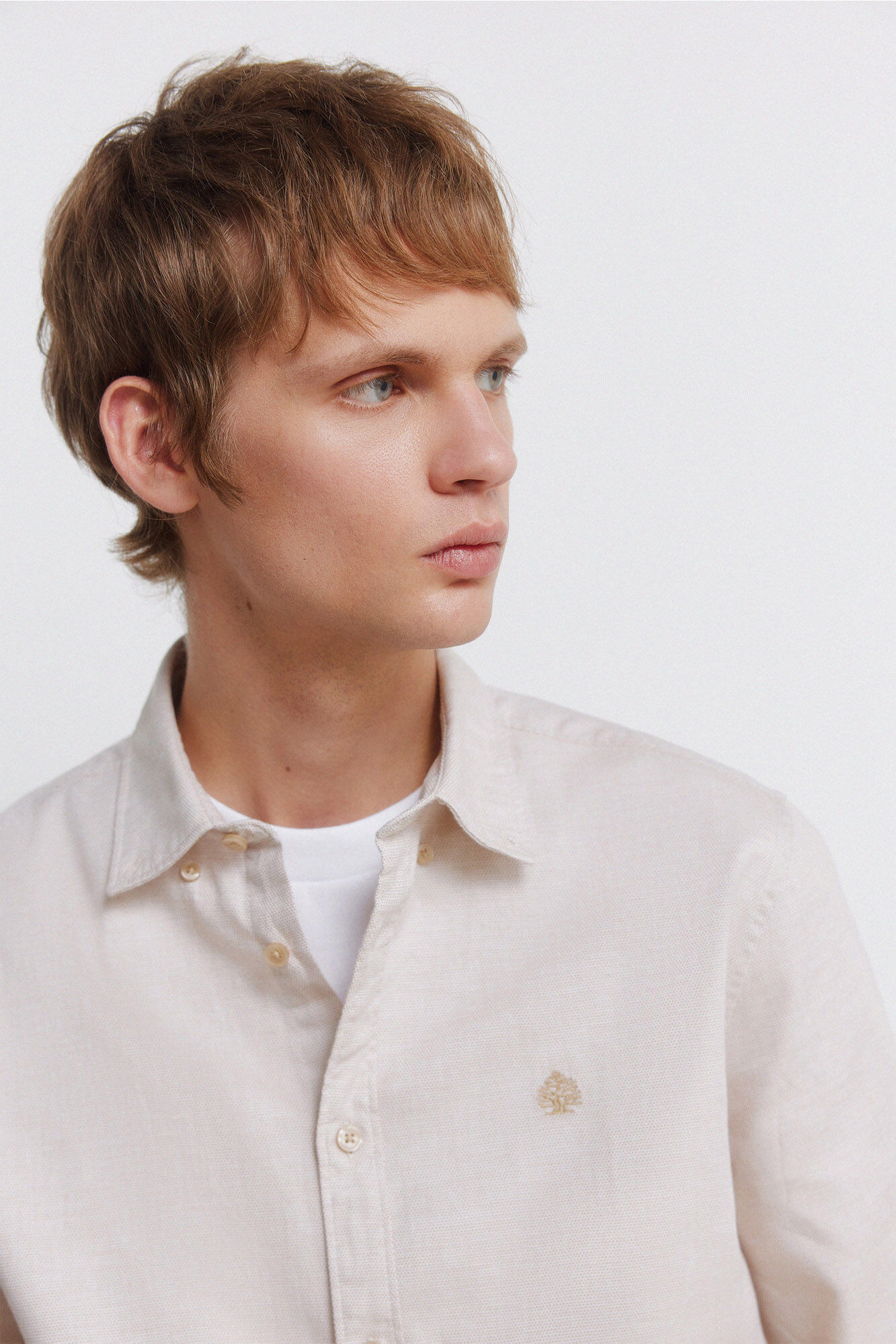 Springfield Camisa de estructura