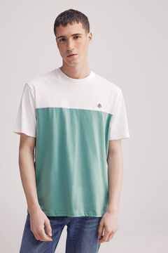 Springfield Playera color block verde