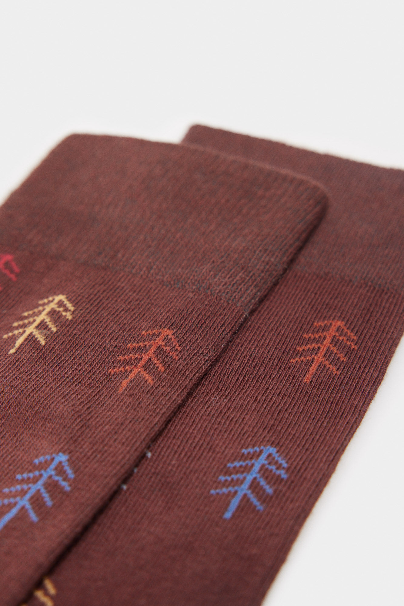 Springfield Calcet&iacute;n pinos caf&eacute;