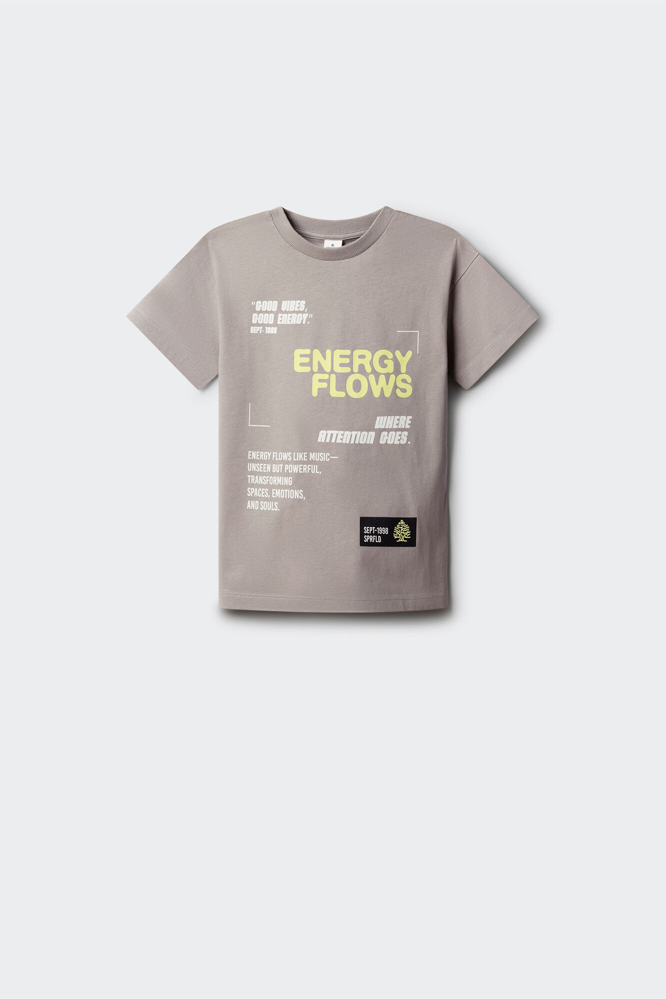 Springfield Kids Playera manga corta estampada para ni&ntilde;o