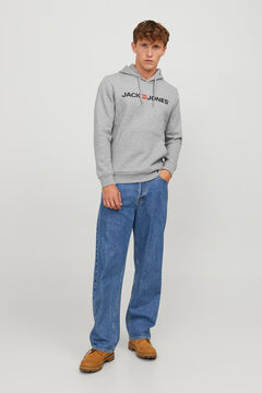 Springfield Sudadera capucha regular fit gris
