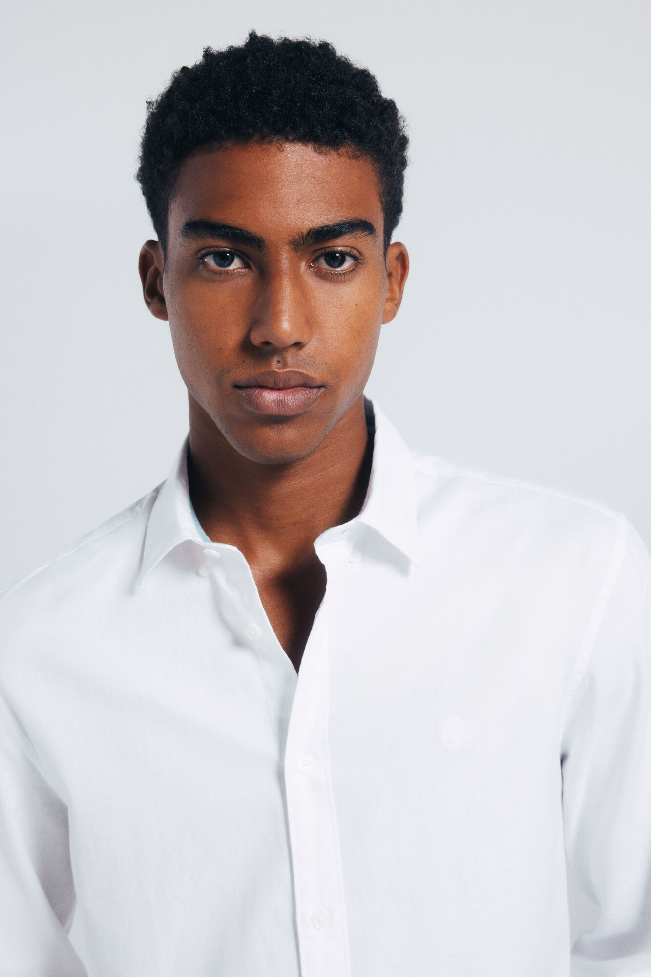 Springfield Camisa estructura natural