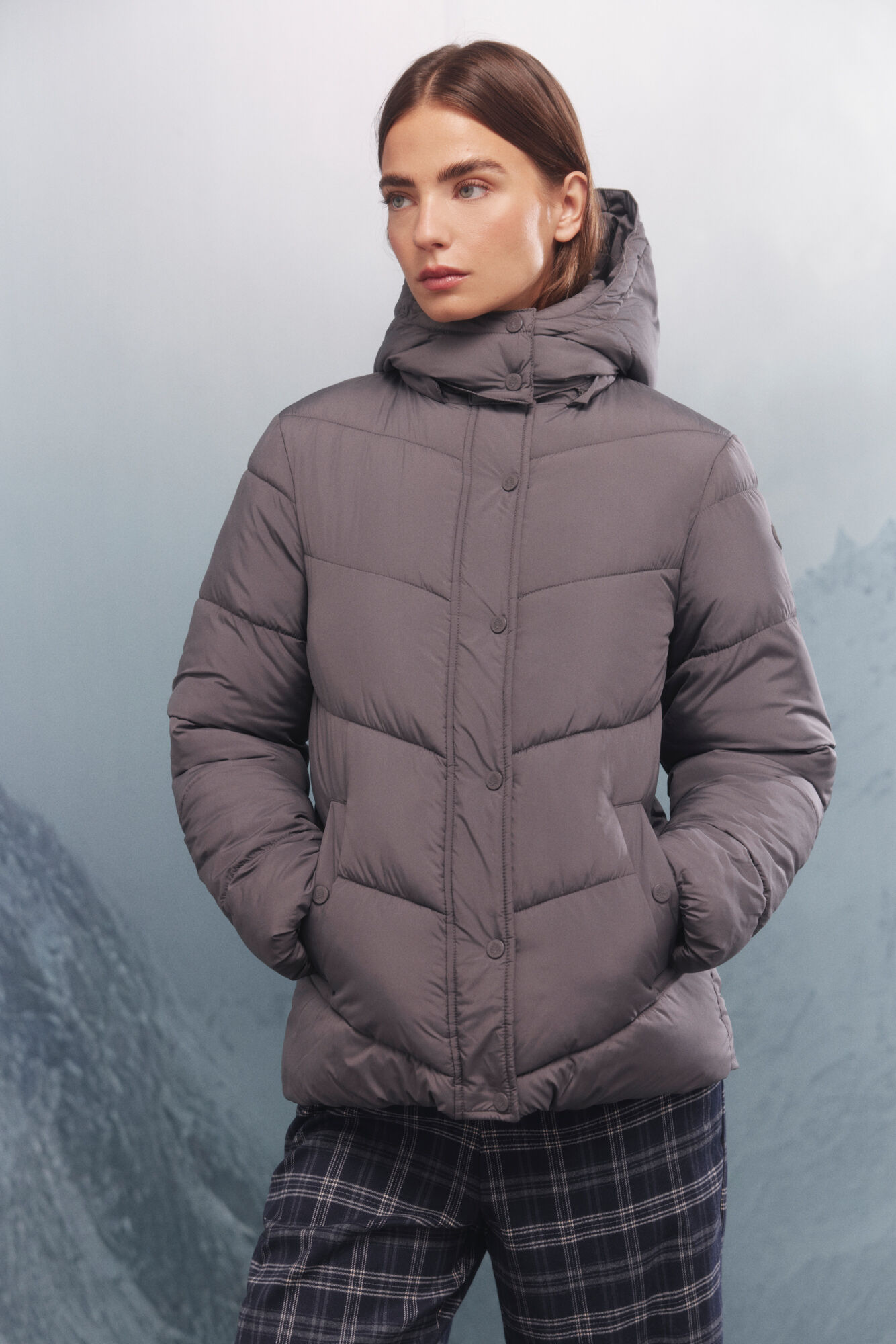 Springfield Plum&iacute;fero Sorona Aura gris