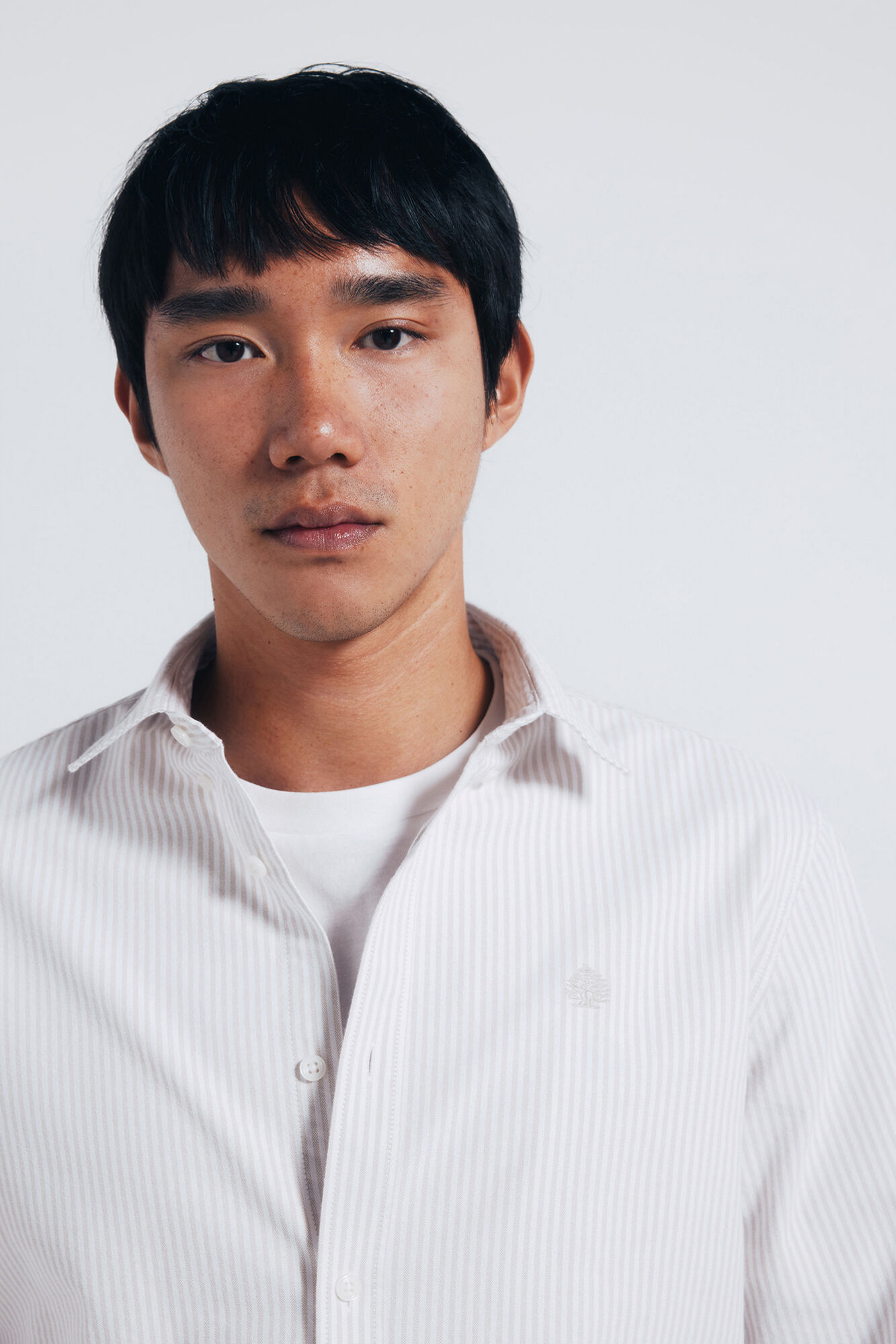 Springfield Camisa Oxford a rayas