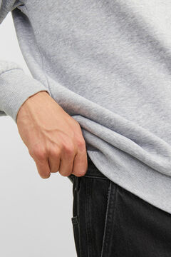 Springfield Sudadera relaxed fit  gris