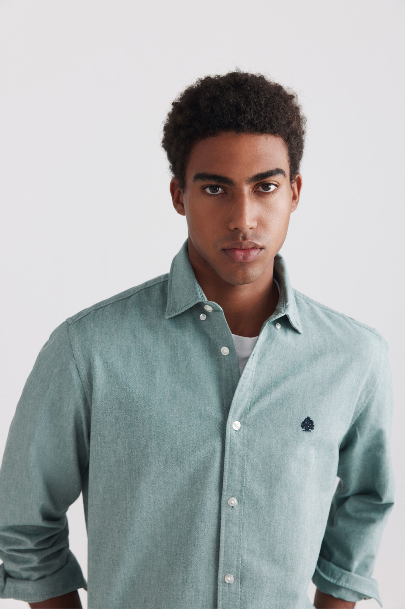Springfield Camisa oxford verde