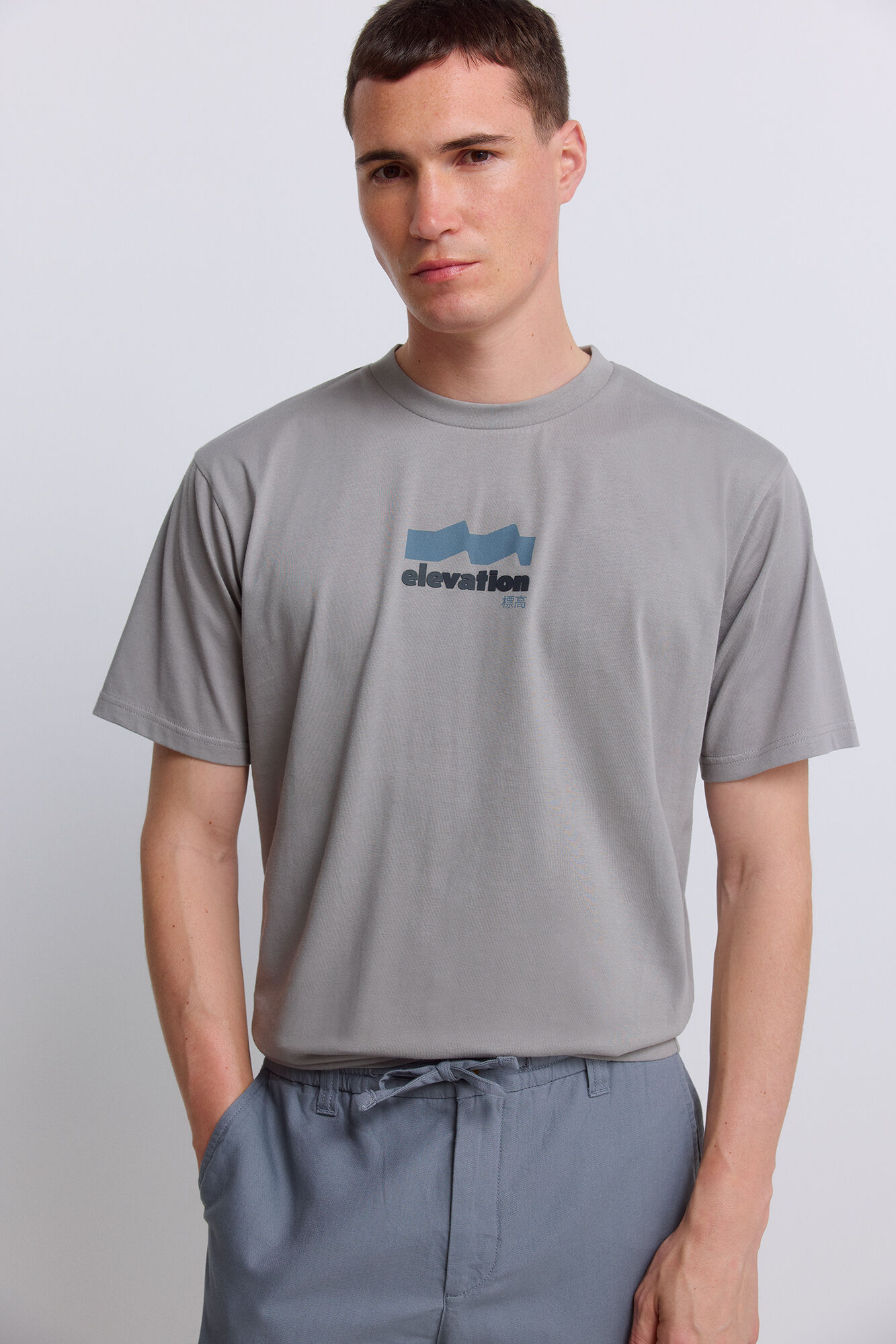 Springfield Playera elevation