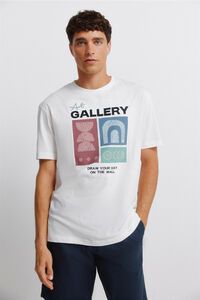 Springfield Playera art gallery