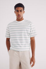 Springfield Playera microrraya verde