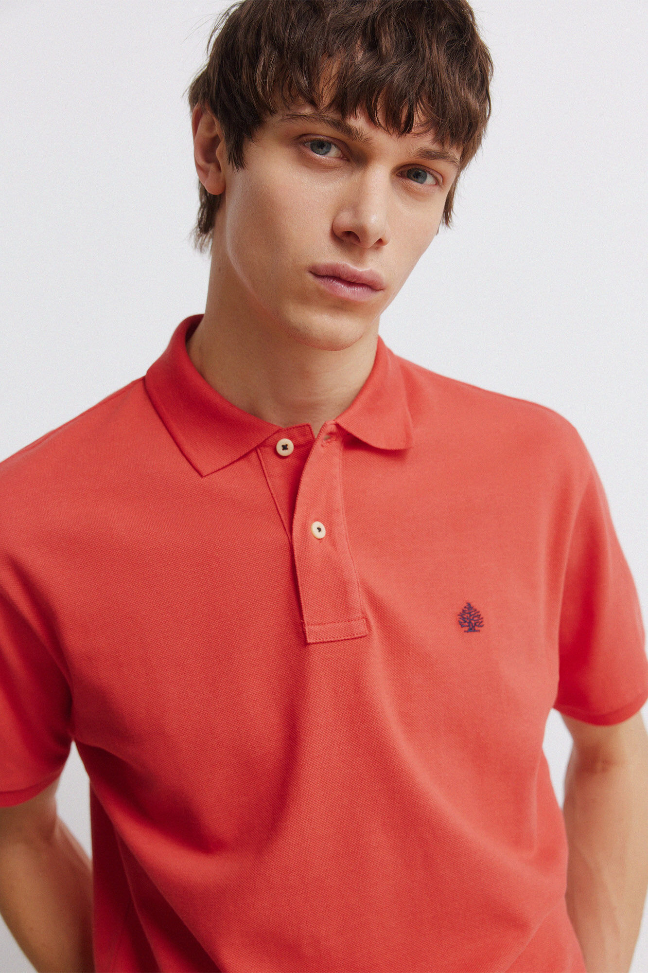 Springfield Polo b&aacute;sico regular fit estampado
