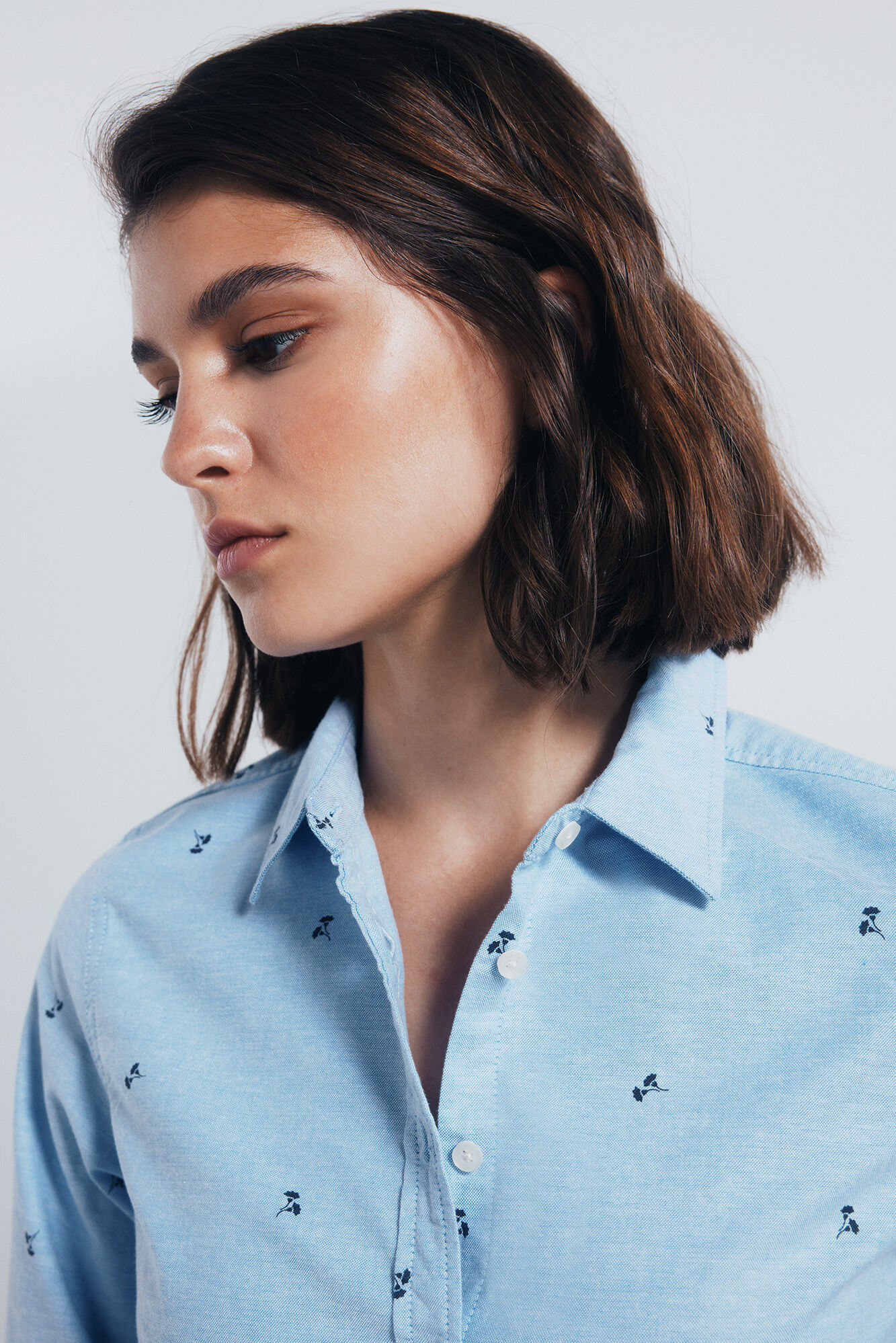 Springfield Camisa oxford algod&oacute;n azul