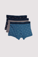 Springfield Pack 3 bóxeres vehículos azul