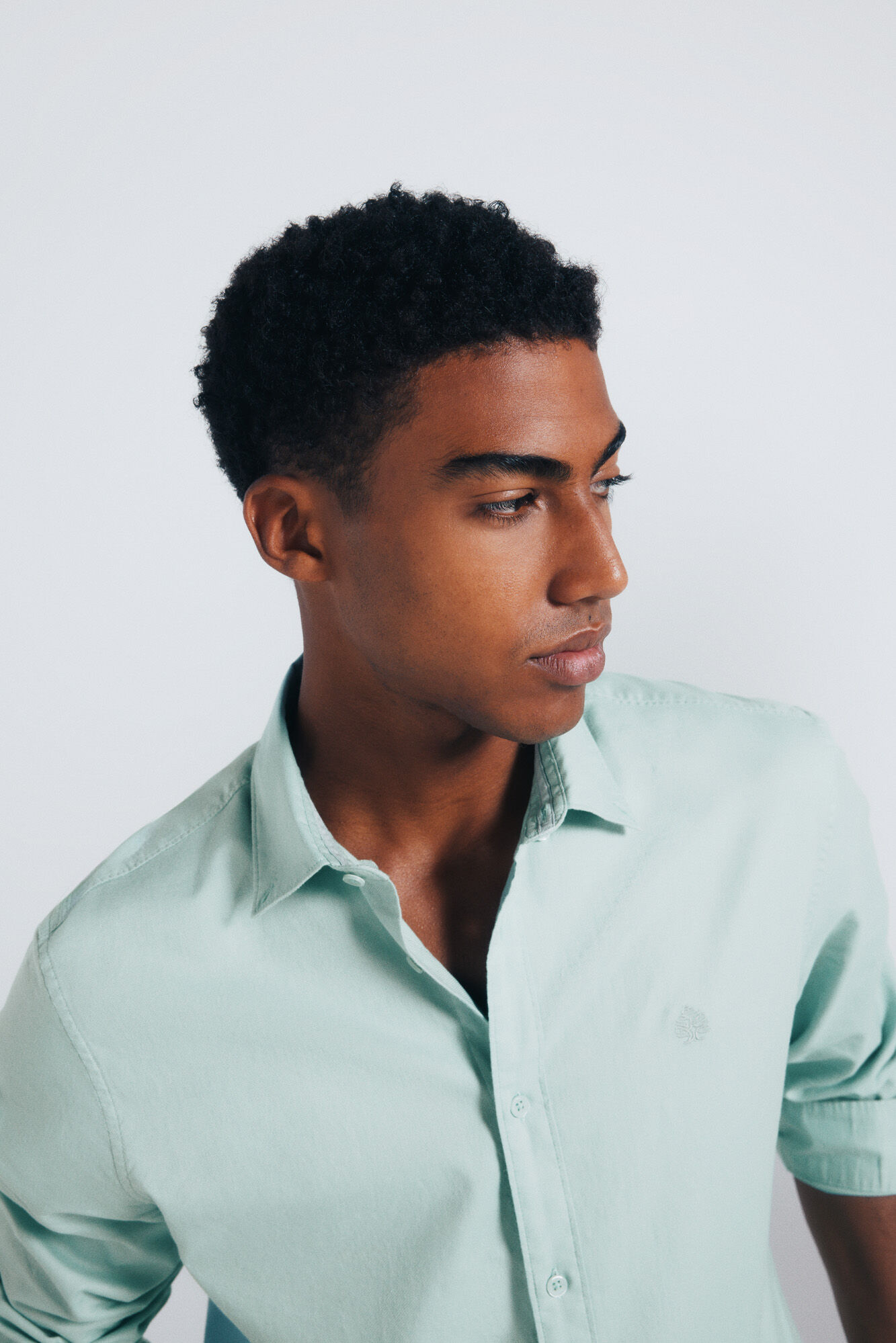 Springfield Camisa estructura