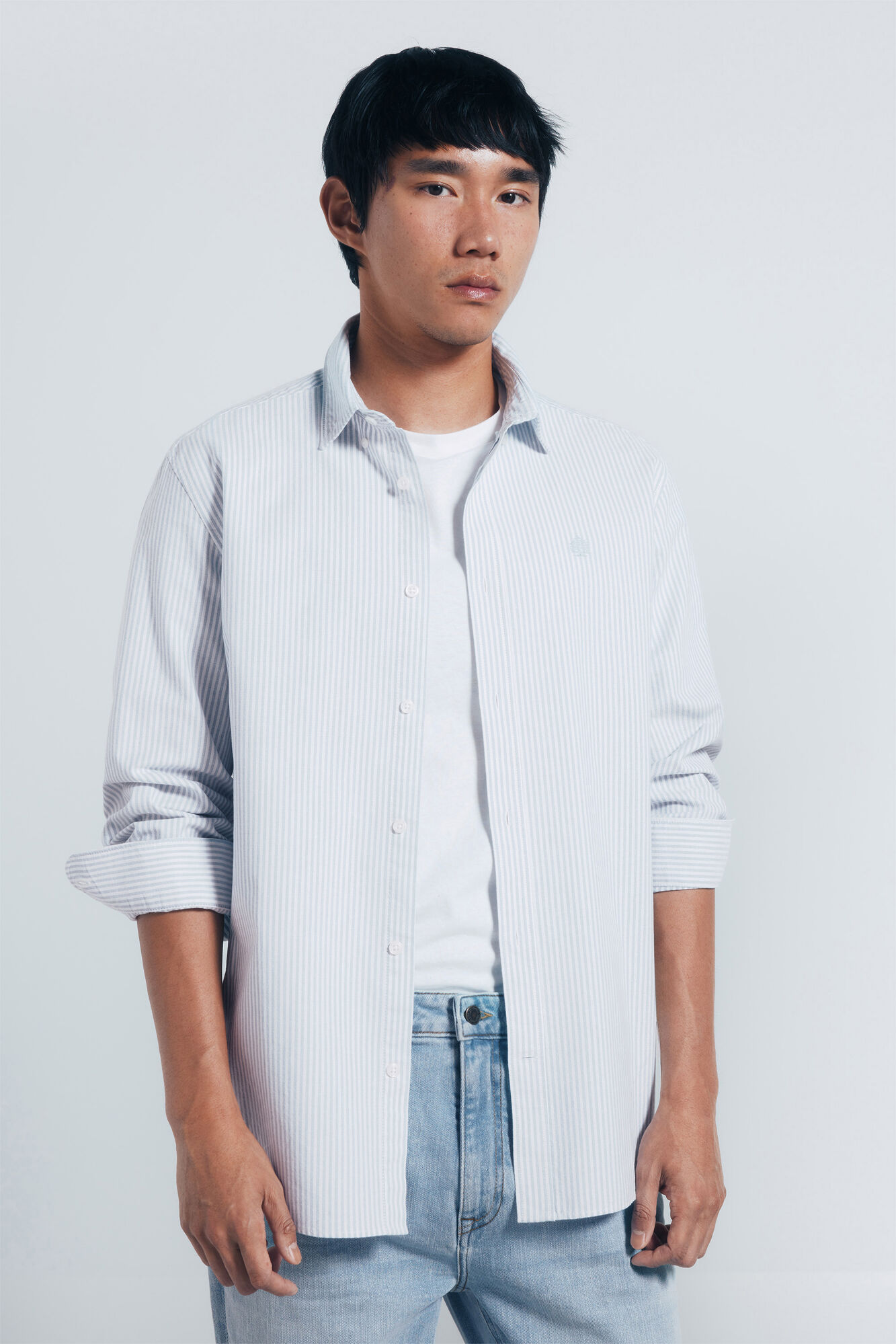 Springfield Camisa Oxford a rayas