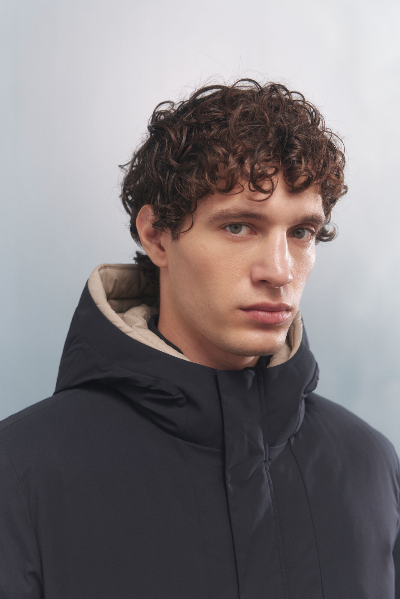 Springfield Plum&iacute;fero marino