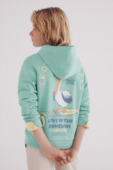 Springfield Sudadera Pelicano niño azul tinta