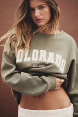 Springfield Sudadera gráfica ciudad khaki