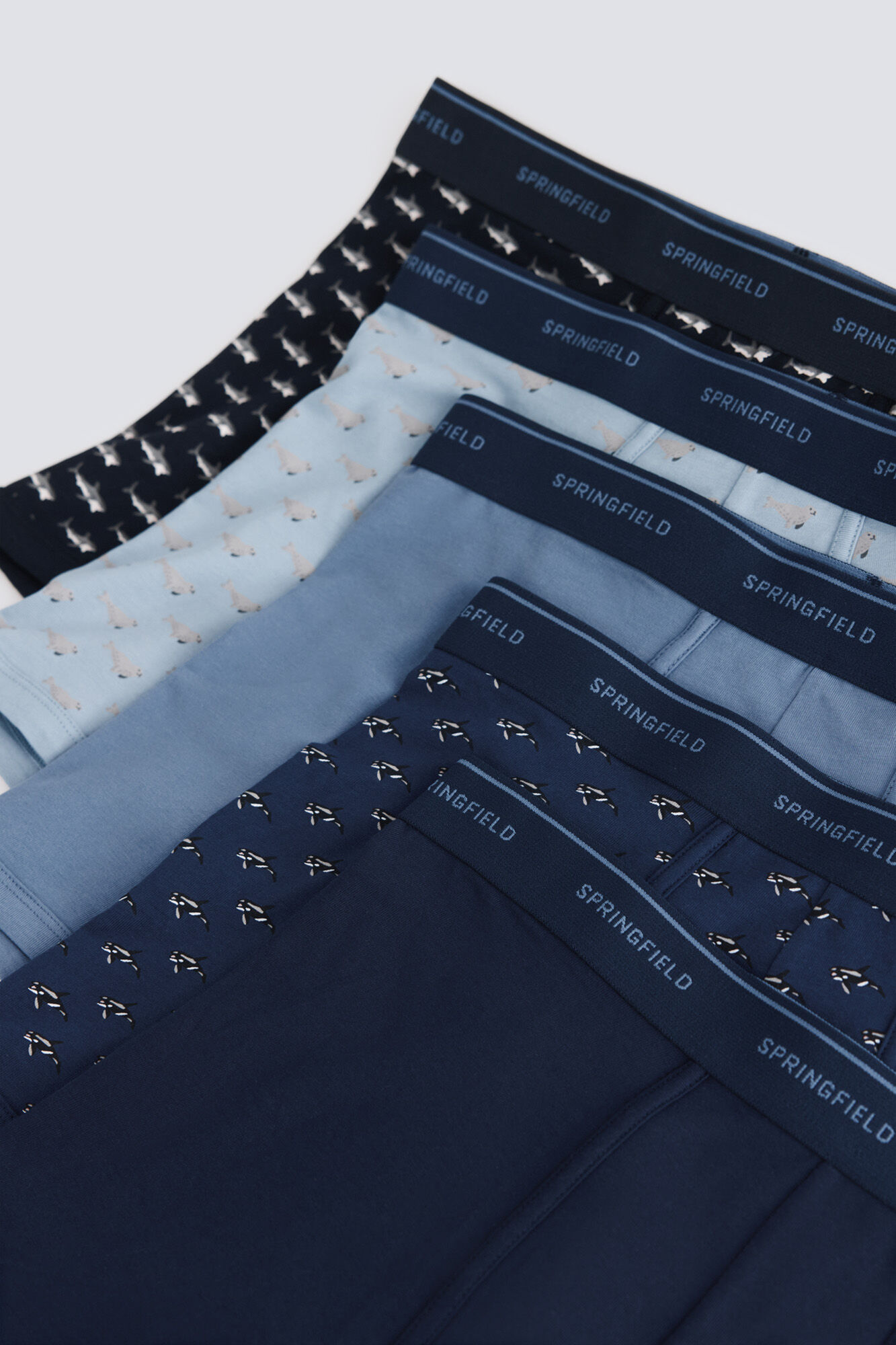 Springfield Pack 5 boxers de animales marinos