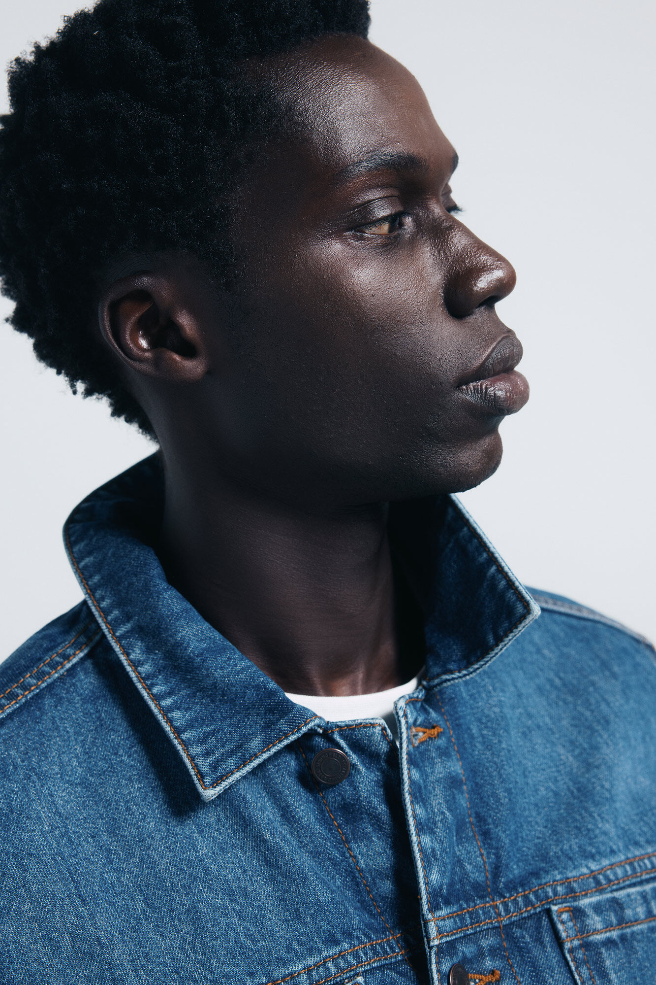 Springfield Chamarra denim b&aacute;sica turquesa