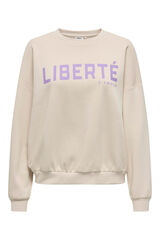 Springfield Sudadera de manga larga y cuello redondo gris