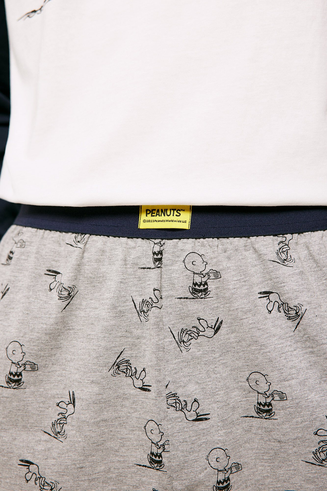 Springfield Pijama largo Peanuts&trade; Charlie Brown gris