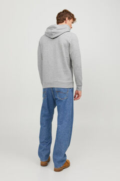 Springfield Sudadera capucha regular fit gris