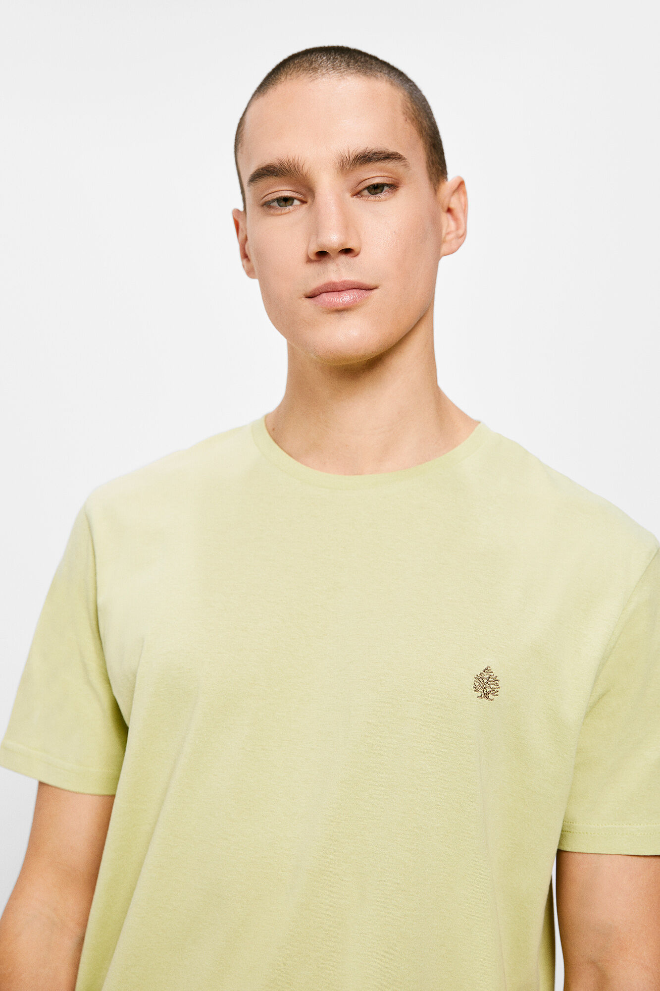 Playera basica sales blanca
